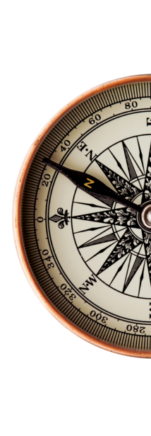 Collective Flourishing Icon