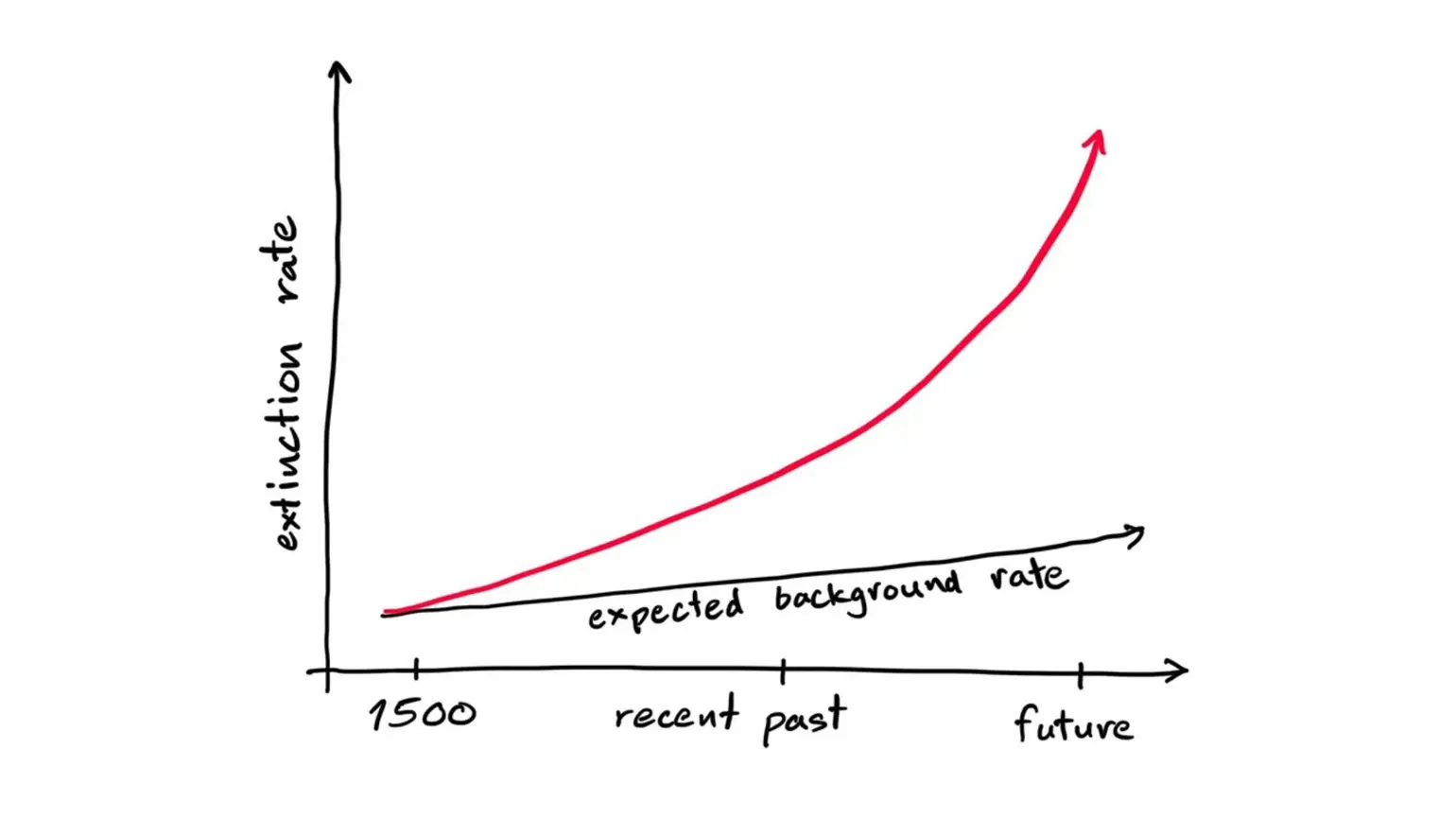 Graph showing past and future predicted extinction rate” width=