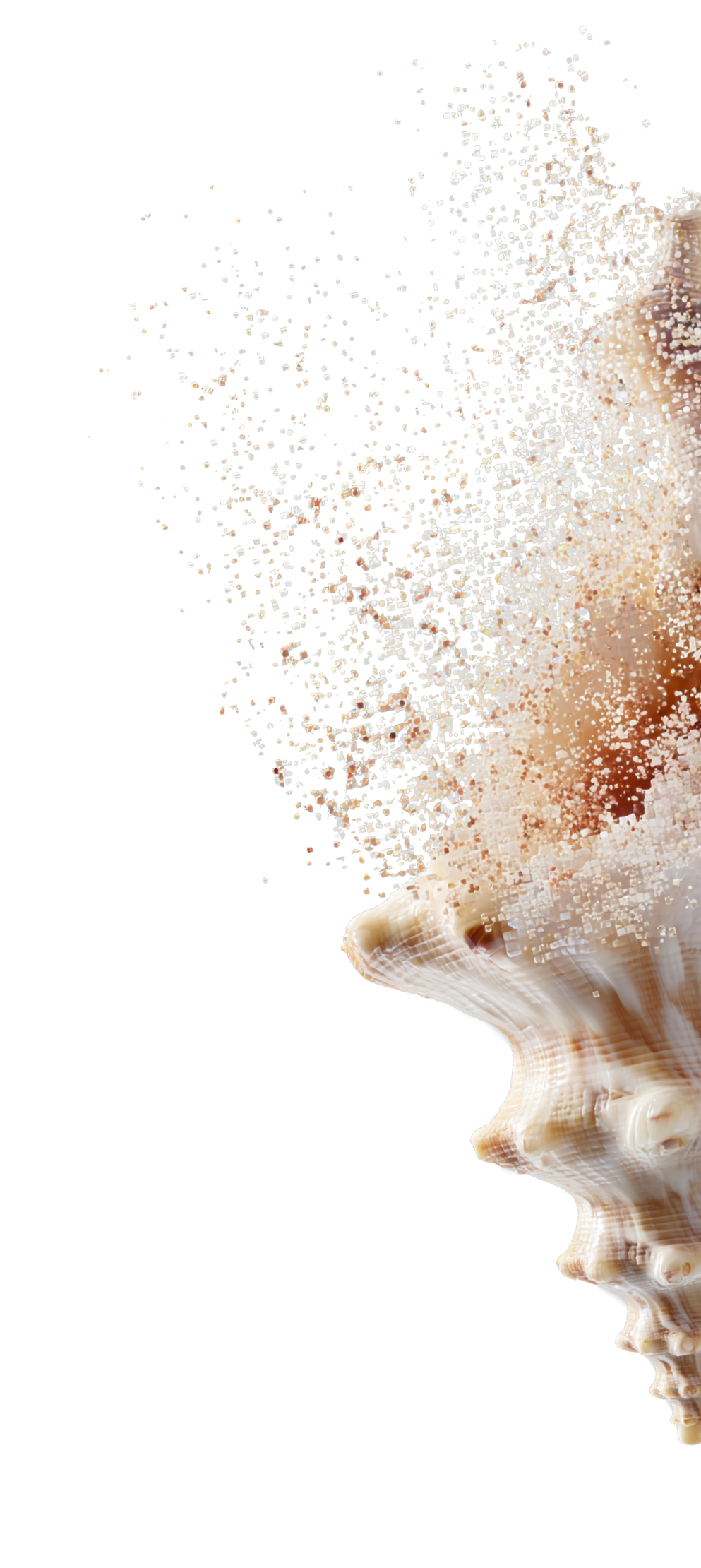 ARIA Manufacturingabundance No Line