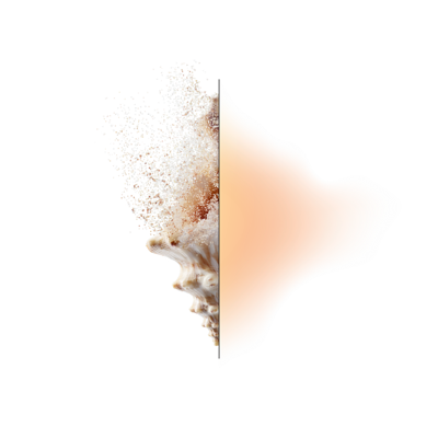 Graphic of half a shell with an orange and yellow gradient making up the other half