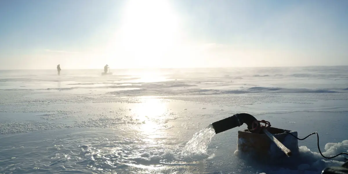 Real Ice Brodielarocque ARIA 11