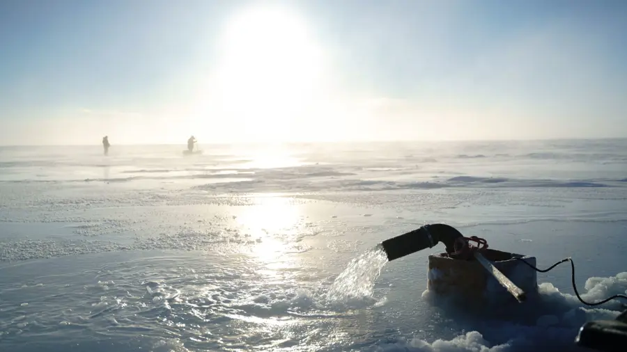 Real Ice Brodielarocque ARIA 11