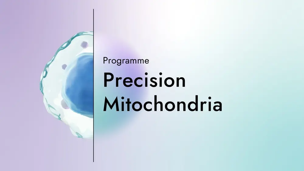Card with the text "Programme: Precision Mitochondria" with a graphic of half an macrophage on a gradient background