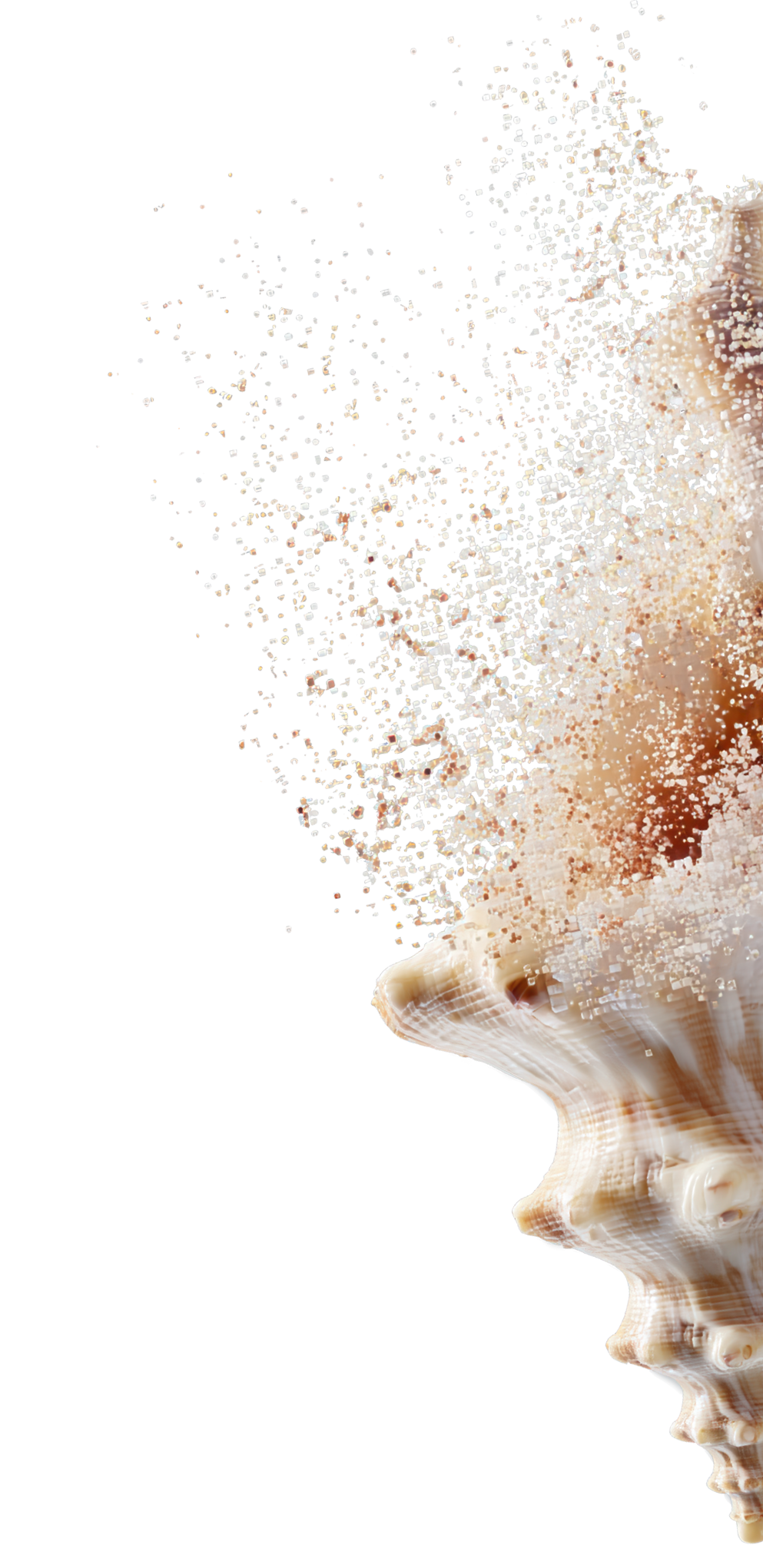 ARIA Manufacturingabundance No Line Copy