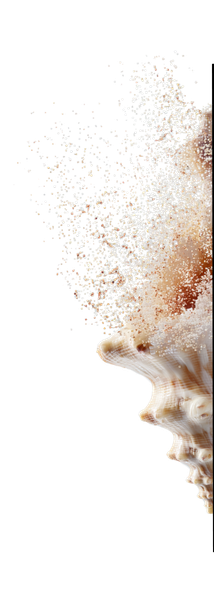 MA (1)
