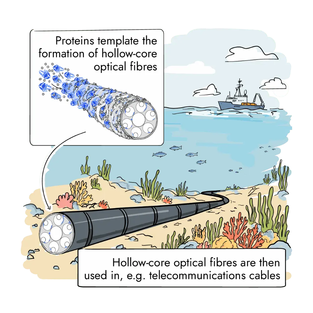 Illustration of protein-templated hollow-core optical fibres used in underwater telecommunications cables.